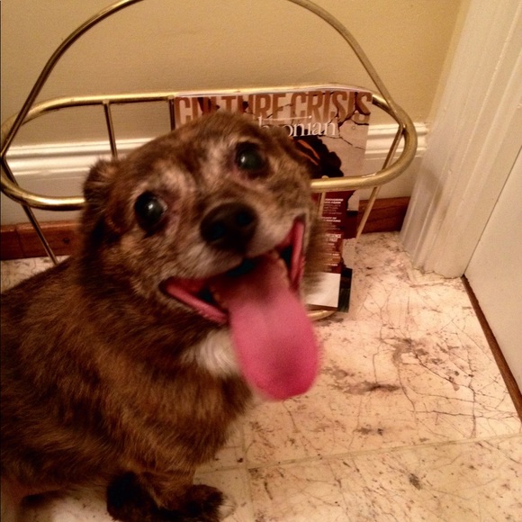 NFS - Picture 3 of 3